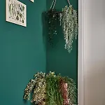 “botanica” Near Venice * Spinea