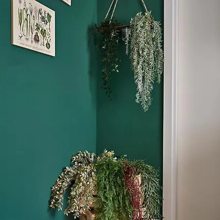 “botanica” Near Venice * مخرج سبينيا